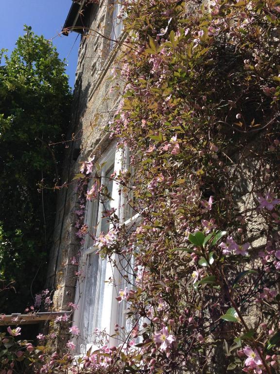 Bed & Breakfast Estoril Penzance